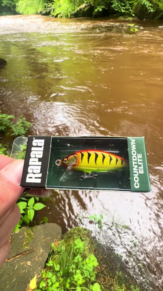 Post 5 by Hippyfishin on TikTok (video)