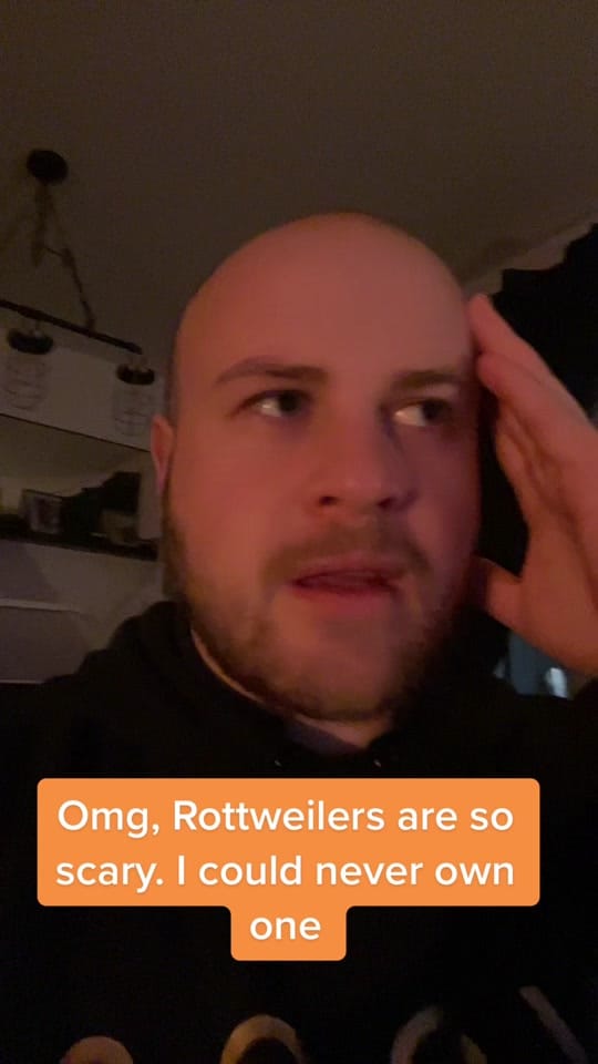 Post 9 by Burton The Naughty Rottie 🐶 on TikTok (video)