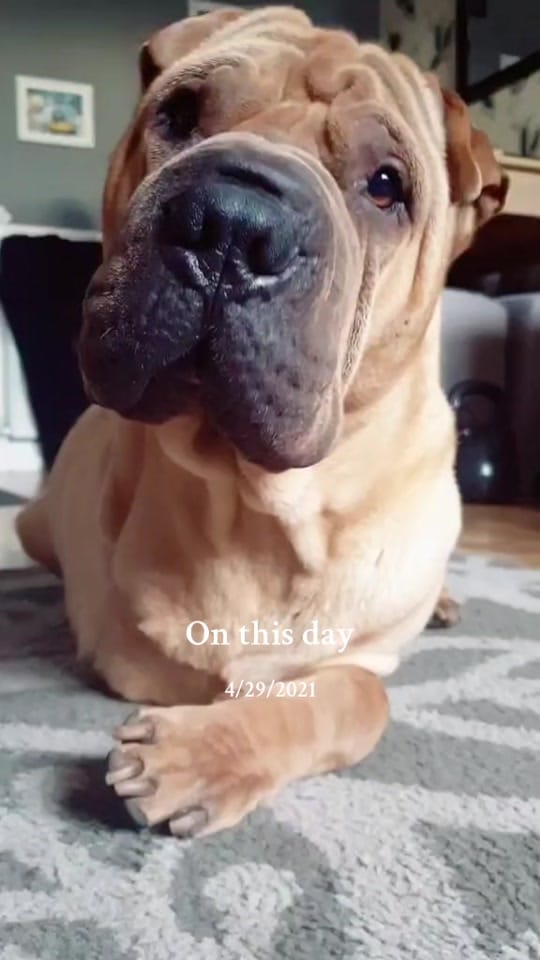 Post 10 by TripawTed💙 on TikTok (video)
