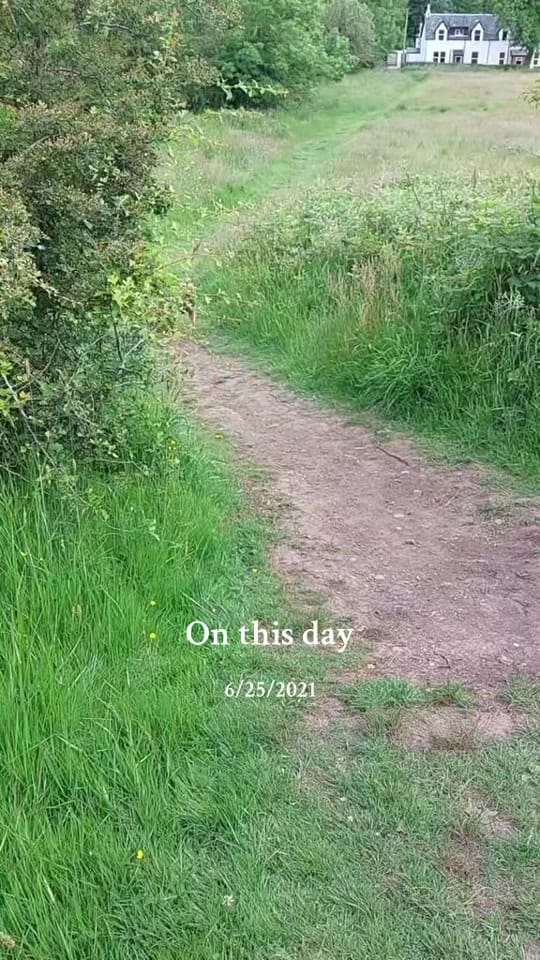 Post 8 by TripawTed💙 on TikTok (video)