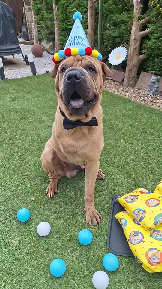Post 9 by TripawTed💙 on TikTok (video)