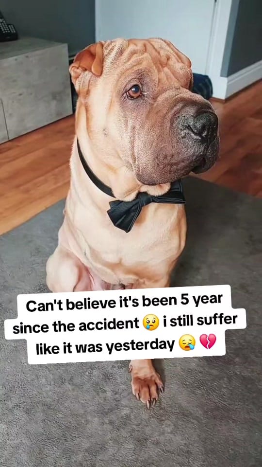 Post 1 by TripawTed💙 on TikTok (video)