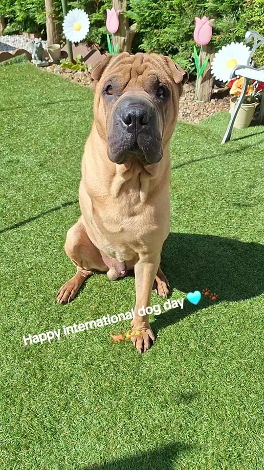 Post 7 by TripawTed💙 on TikTok (video)