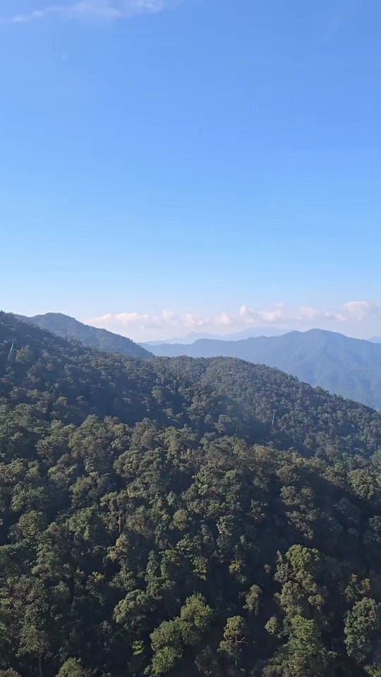 Post 10 by Glen Rooke on TikTok (video)