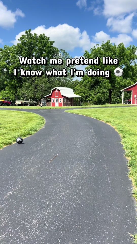 Post 4 by Chaley | Gardening l TTS on TikTok (video)