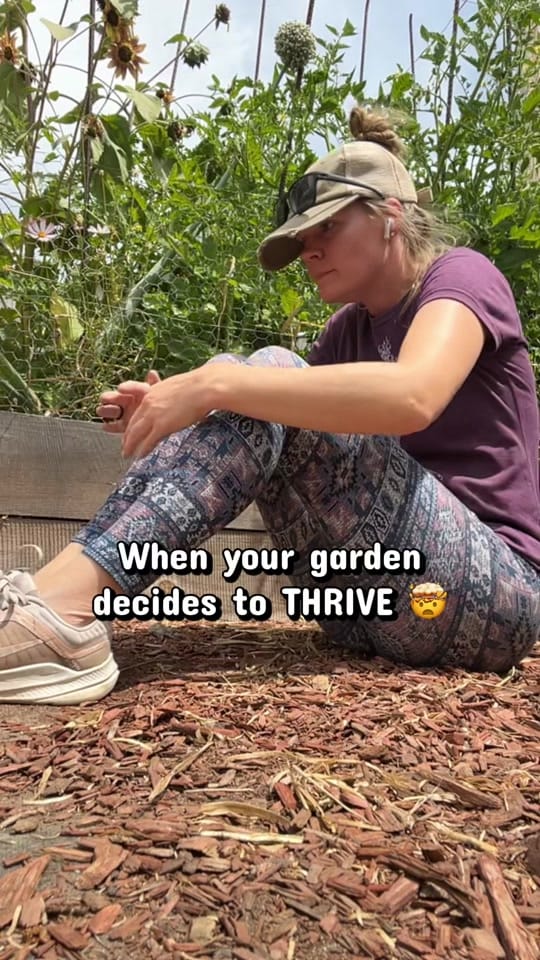 Post 2 by Chaley | Gardening l TTS on TikTok (video)