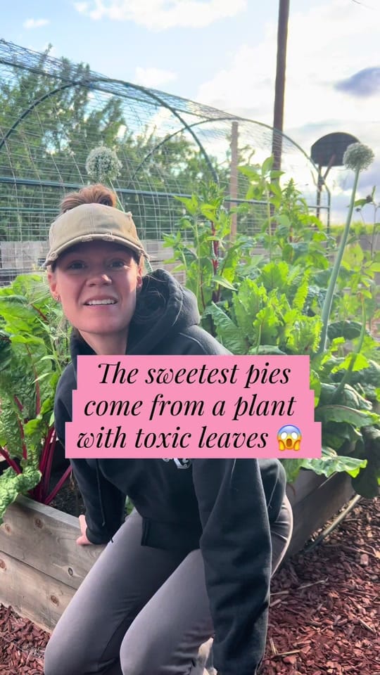 Post 10 by Chaley | Gardening l TTS on TikTok (video)
