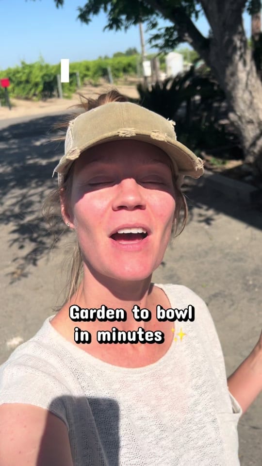 Post 3 by Chaley | Gardening l TTS on TikTok (video)