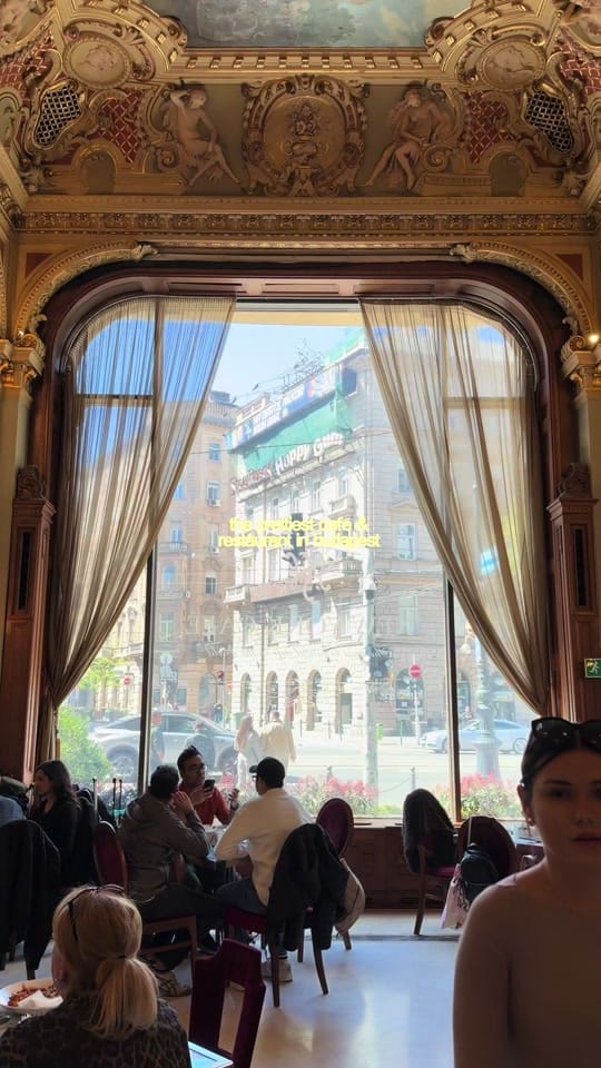 Post 4 by giulia★ on TikTok (video)