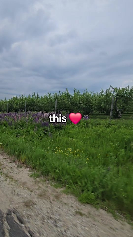 Post 1 by Shel Mc 🆘️🇺🇲🆘️ on TikTok (video)