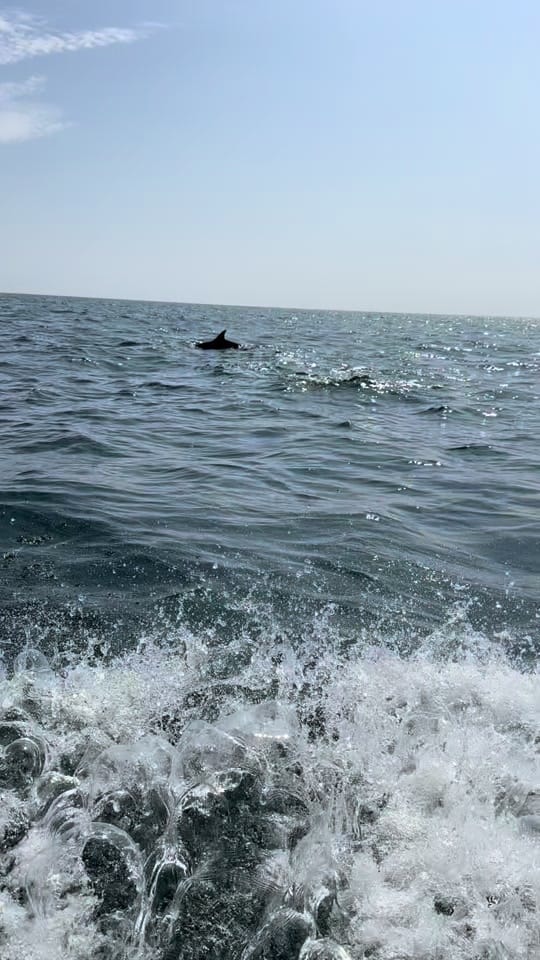Post 8 by Chris_Topher_Travels on TikTok (video)