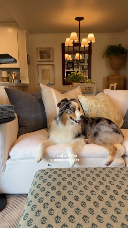 Post 8 by Camille Alexandra Interiors on TikTok (video)