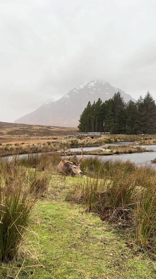 Post 10 by Exploring Scotland on TikTok (video)