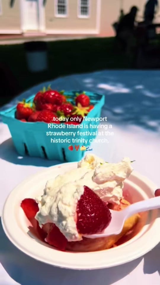 Post 2 by amanda • prosecco & pups on TikTok (video)