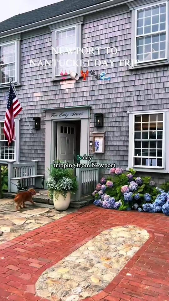 Post 6 by amanda • prosecco & pups on TikTok (video)