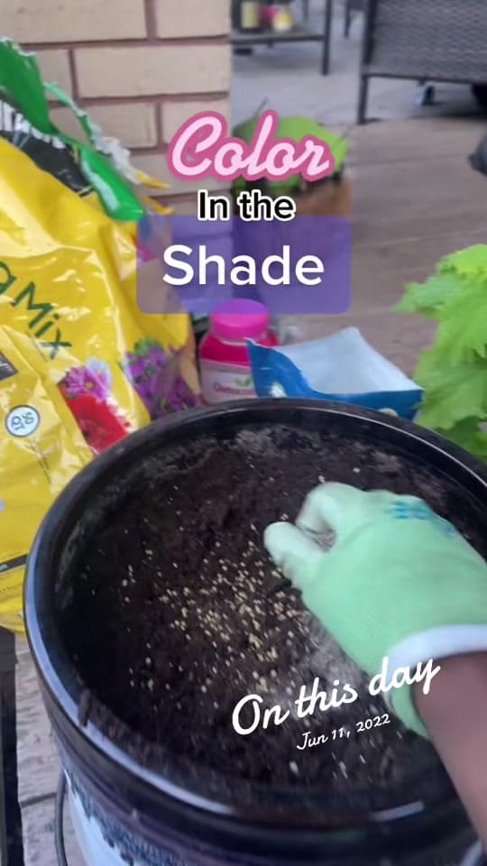 Post 2 by Grower Of All Things 🪴 on TikTok (video)