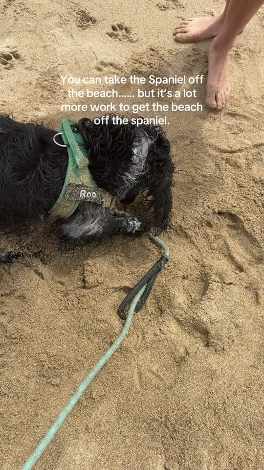 Post 2 by Debs | One foot in Cornwall on TikTok (video)