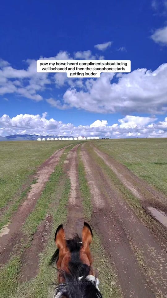 Post 5 by where yen goes | food & travel on TikTok (video)