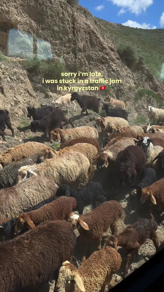 Post 2 by where yen goes | food & travel on TikTok (video)