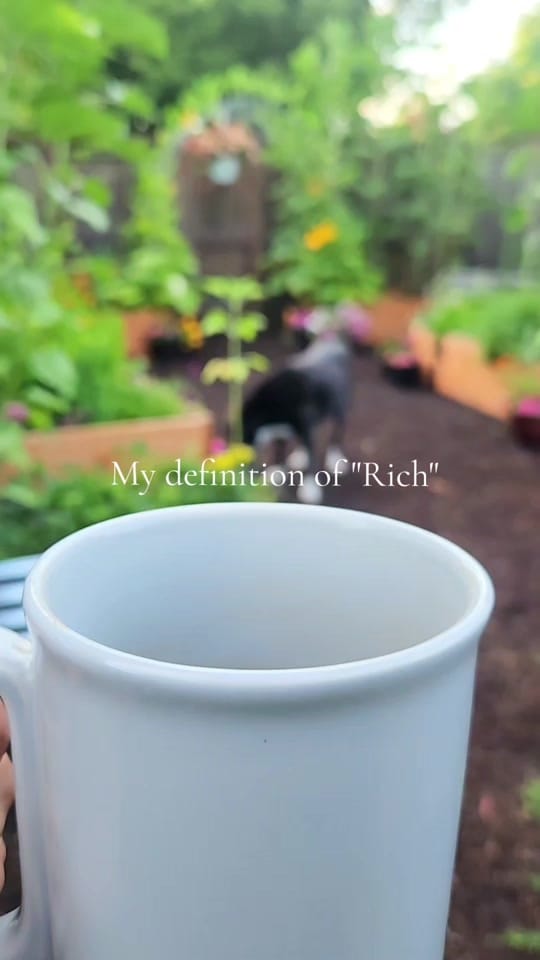 Post 10 by Amanda🌱Gardening on TikTok (video)