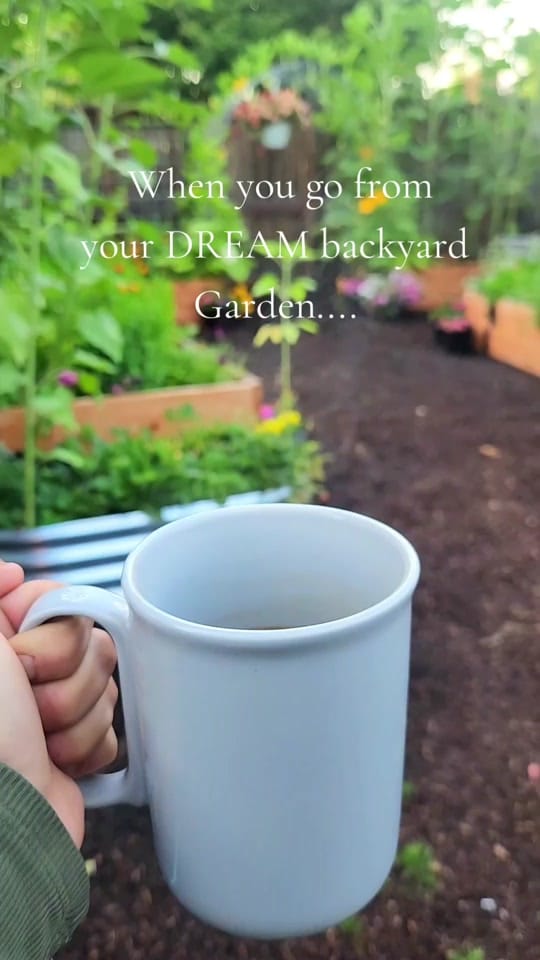 Post 1 by Amanda🌱Gardening on TikTok (video)