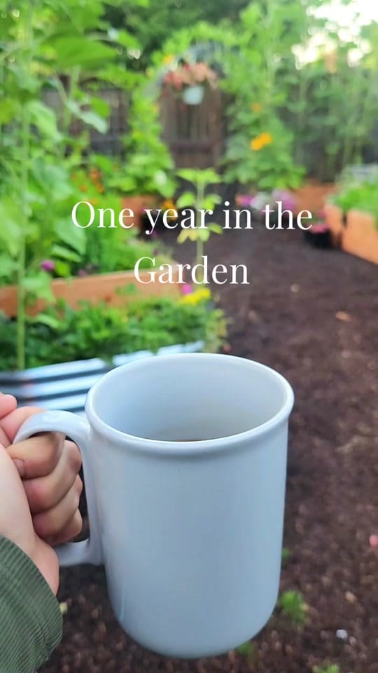 Post 8 by Amanda🌱Gardening on TikTok (video)