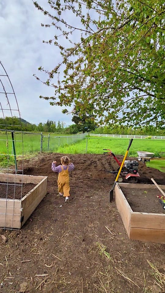 Post 2 by Amanda🌱Gardening on TikTok (video)