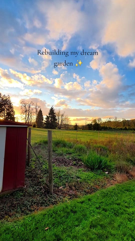 Post 5 by Amanda🌱Gardening on TikTok (video)
