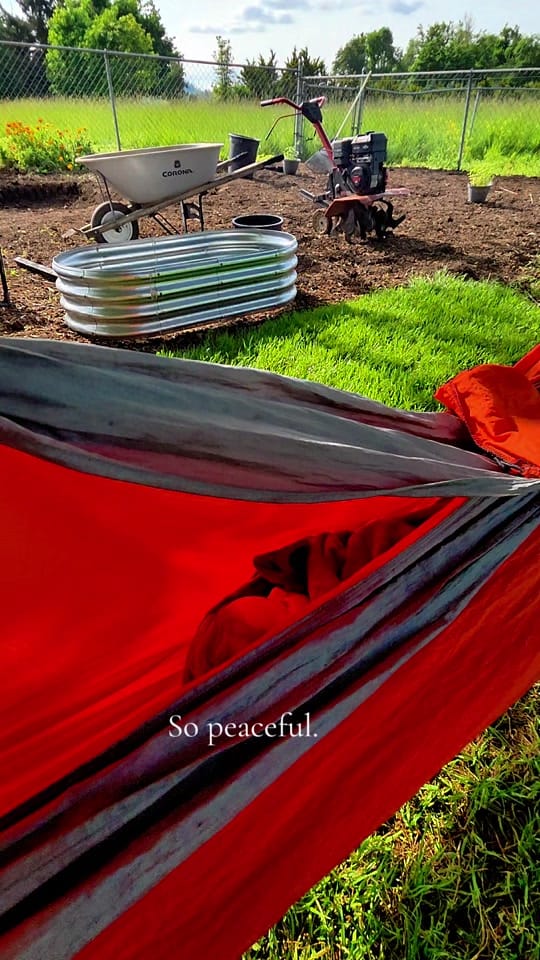 Post 4 by Amanda🌱Gardening on TikTok (video)
