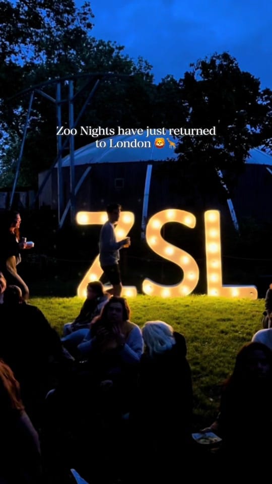 Post 5 by London_Diary on TikTok (video)
