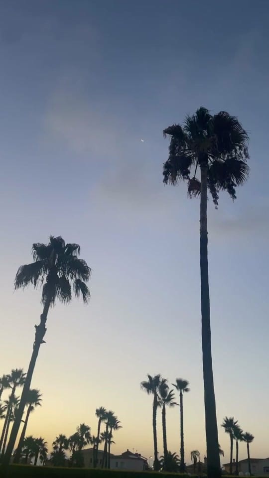Post 1 by holly 🌥️🐋🏔️🌊🌎🌙 on TikTok (video)