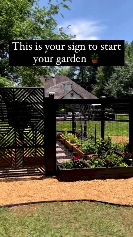 Post 3 by niyabrownmatthews on TikTok (video)