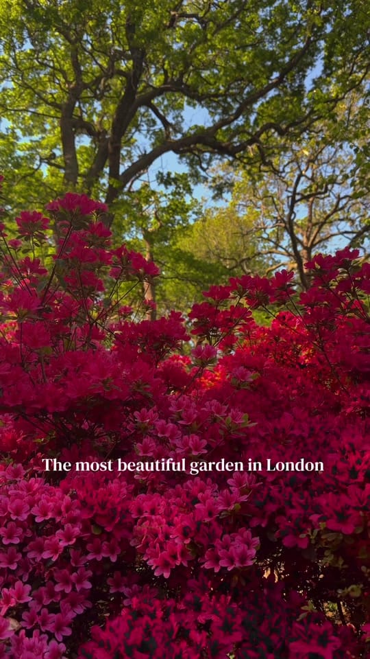 Post 2 by Veronika | London & Travel on TikTok (video)