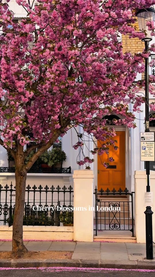 Post 7 by Veronika | London & Travel on TikTok (video)