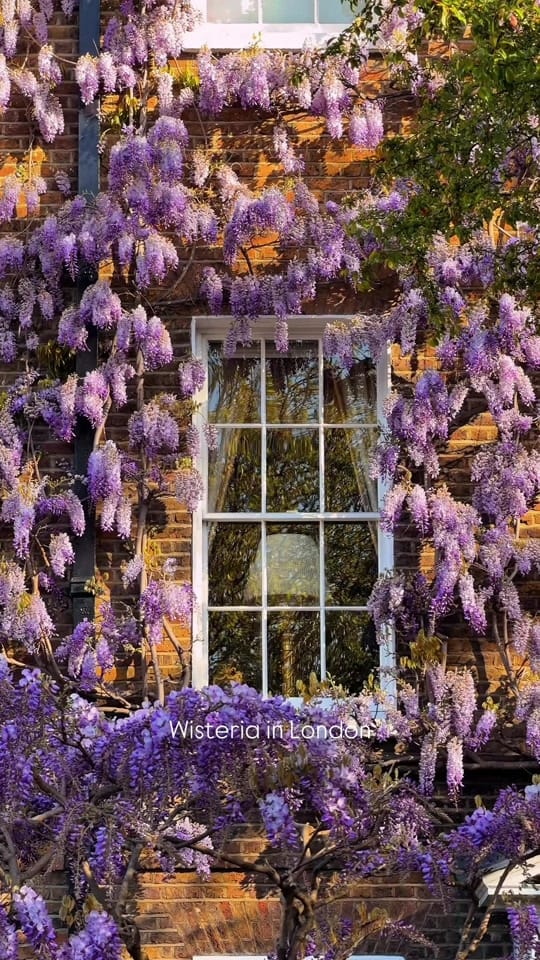 Post 6 by Veronika | London & Travel on TikTok (video)