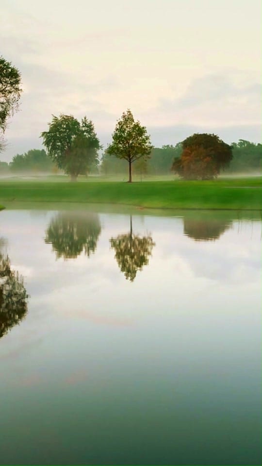Post 5 by TheAdareManor on TikTok (video)