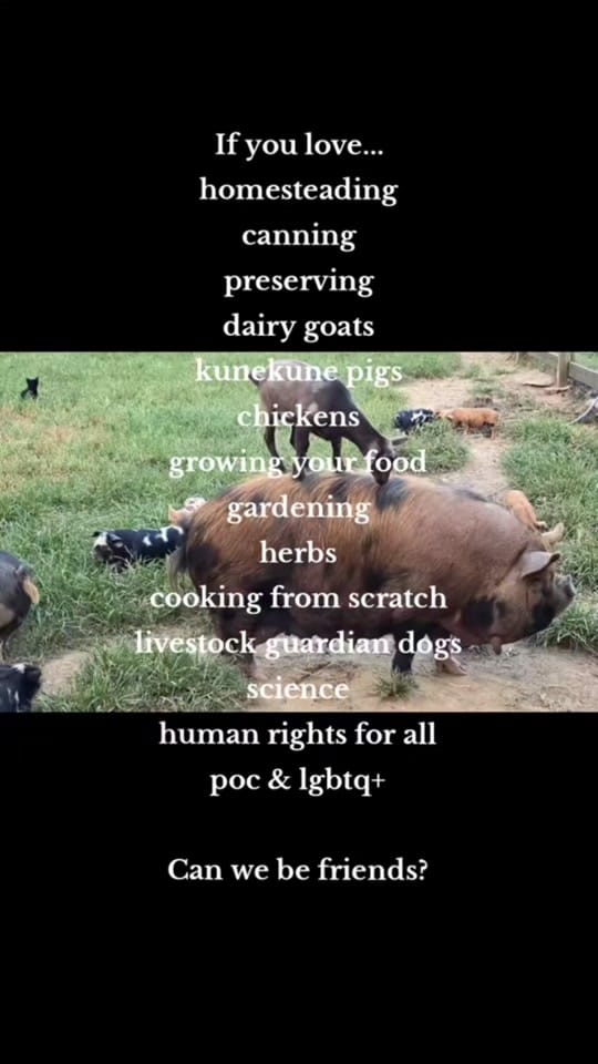Post 3 by Tribble Hill Farm on TikTok (video)