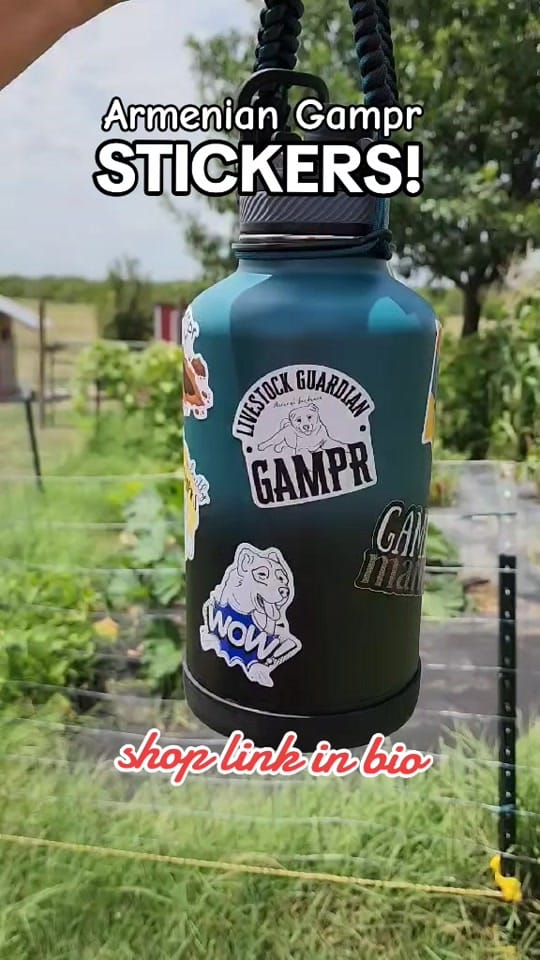 Post 5 by Tribble Hill Farm on TikTok (video)