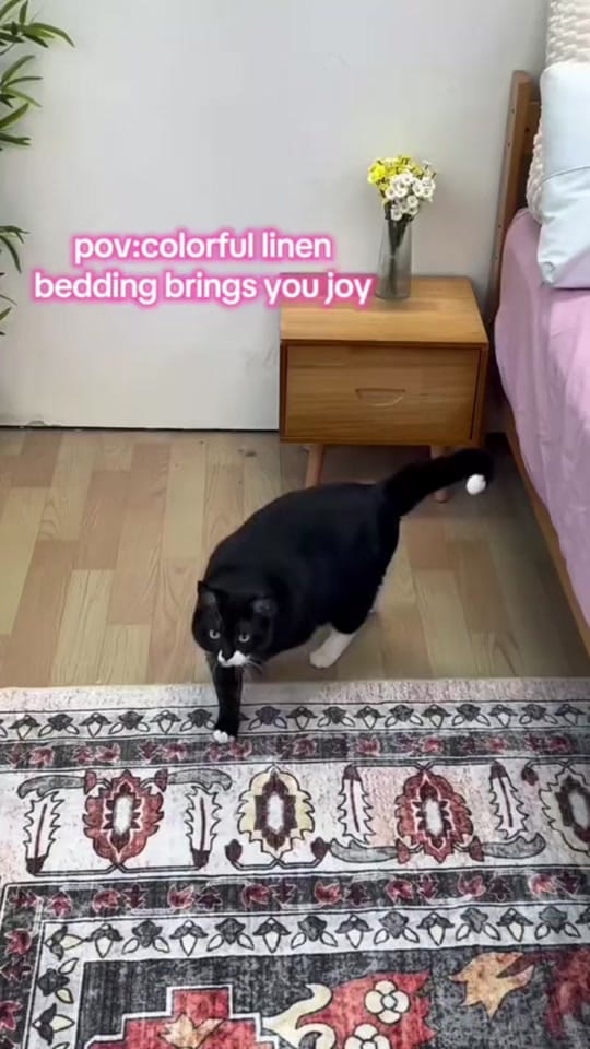 Post 7 by BedElegance on TikTok (video)