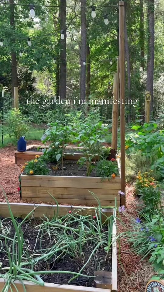 Post 6 by Gardening with Wallace | 8a on TikTok (video)