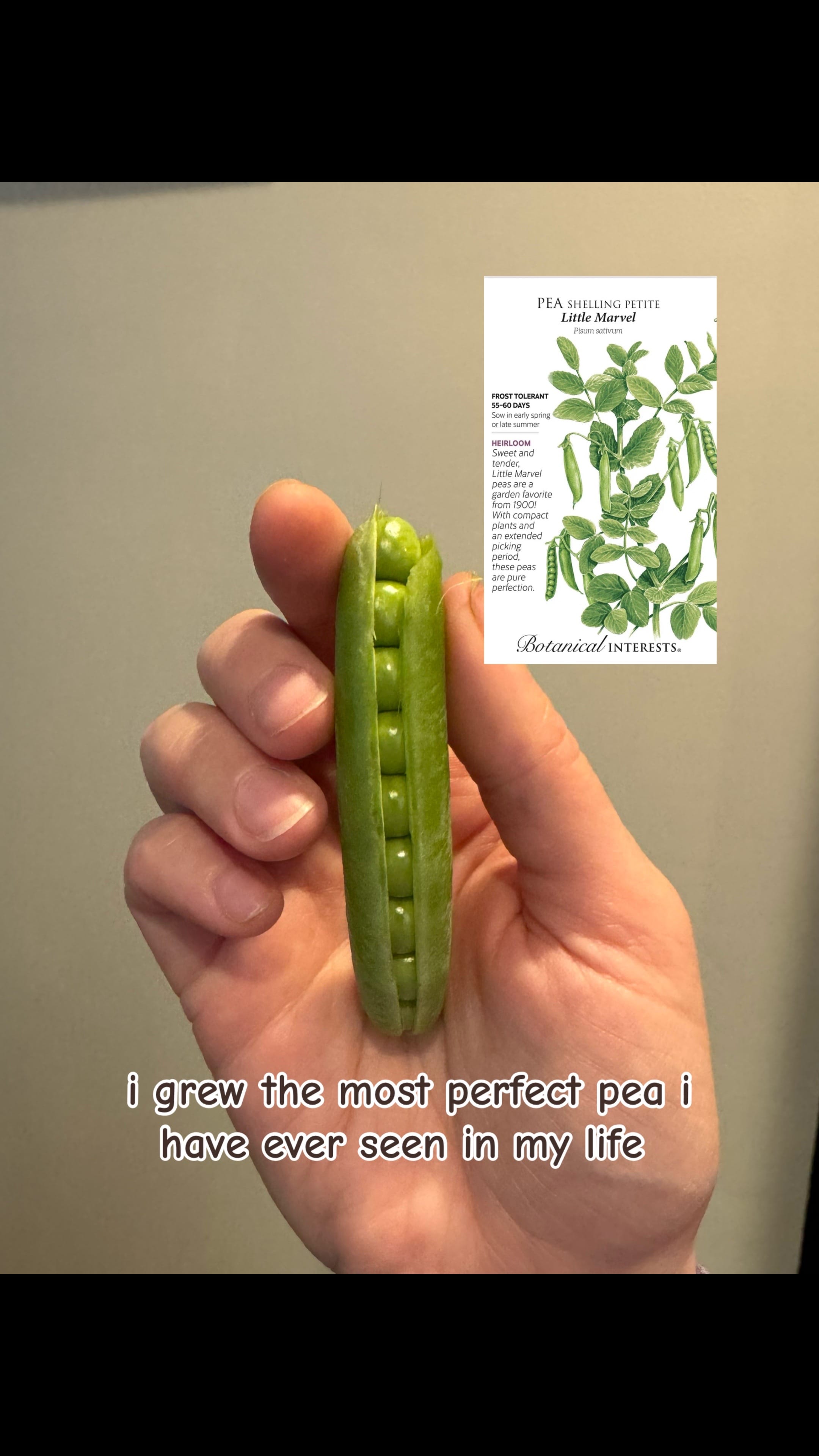 Post 7 by Gardening with Wallace | 8a on TikTok (video)