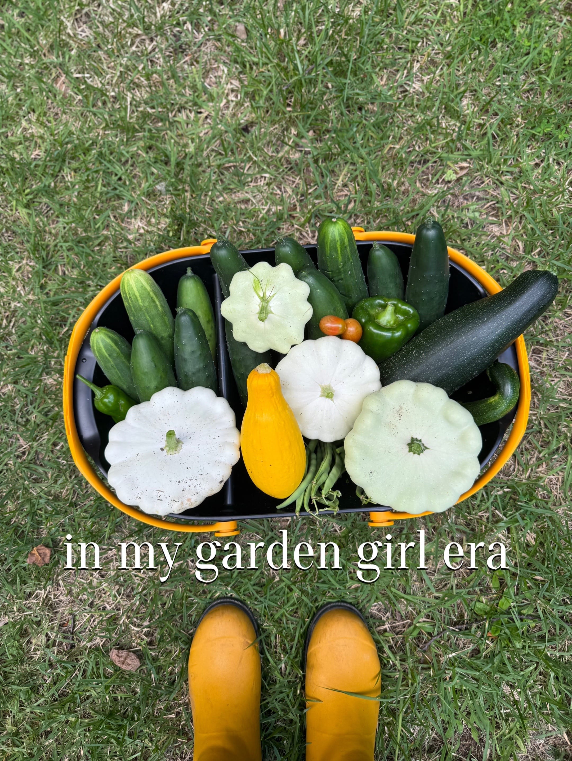 Post 4 by Gardening with Wallace | 8a on TikTok (video)