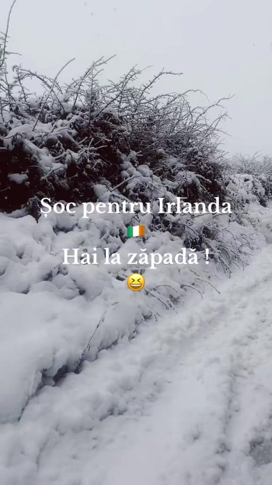 Post 3 by Story... on TikTok (video)