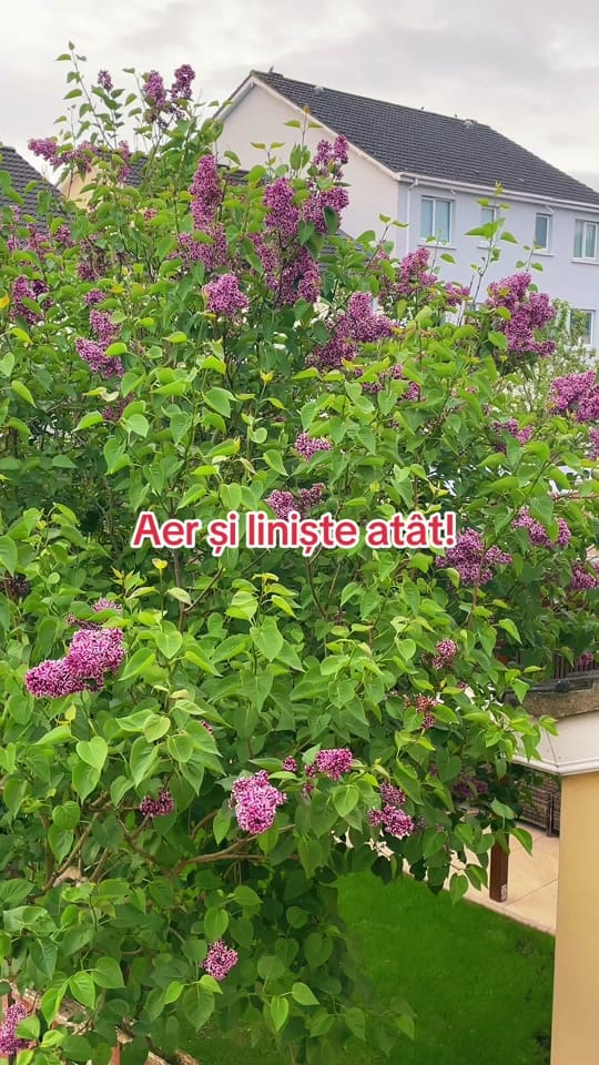 Post 1 by Story... on TikTok (video)