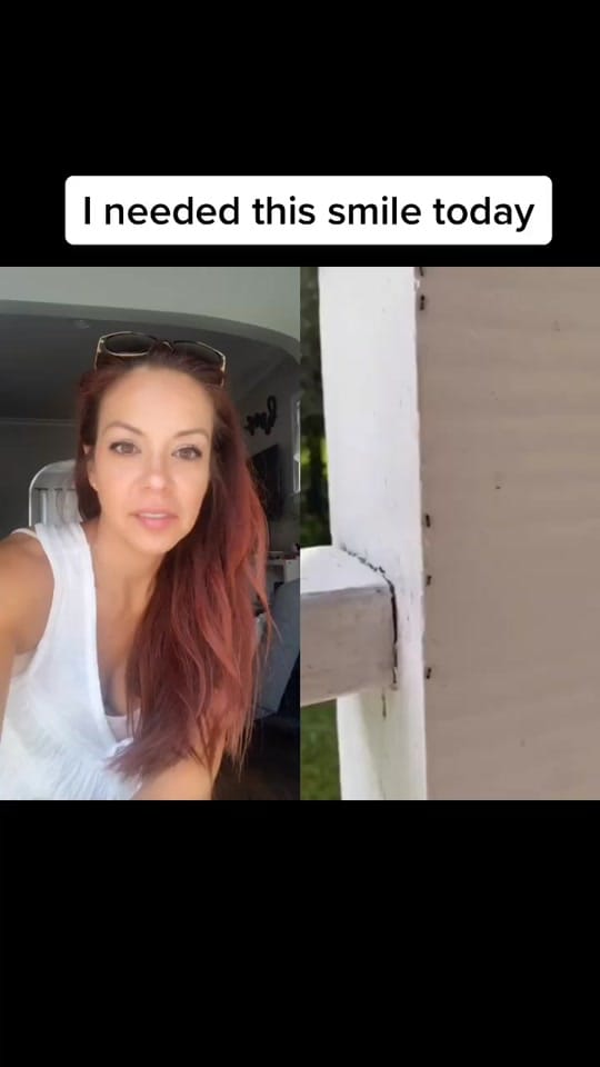 Post 6 by NikkiNik on TikTok (video)
