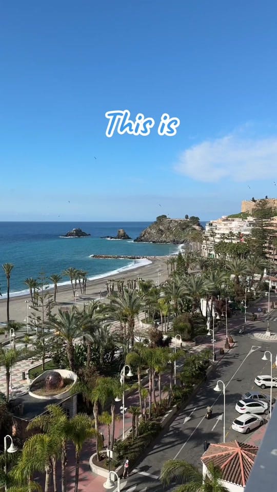 Post 9 by Scout on TikTok (video)