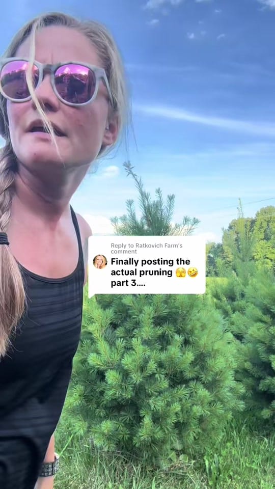 Post 1 by Ratkovich Farm on TikTok (video)