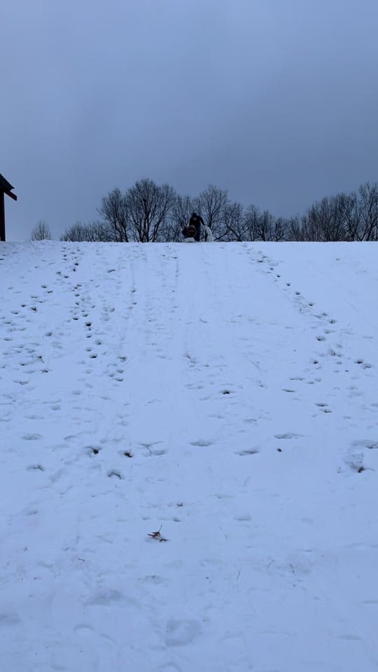Post 1 by kentuckyproud_gen❌ on TikTok (video)