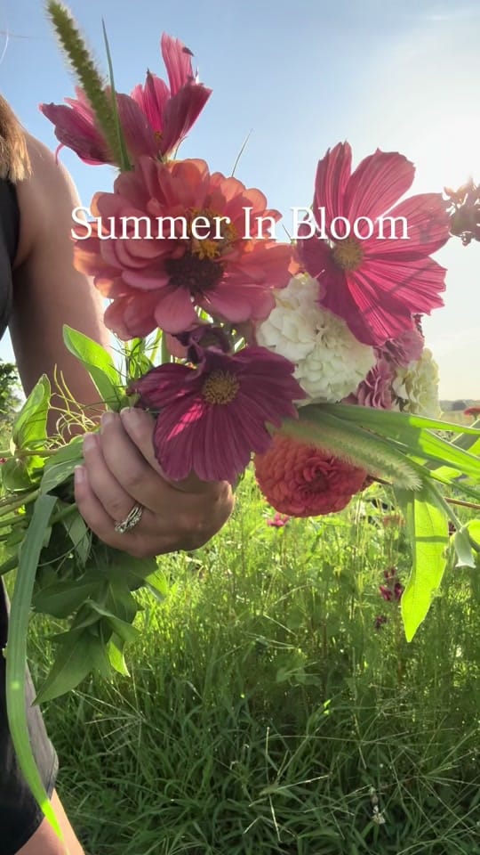 Post 6 by junebugfarmsmo on TikTok (video)