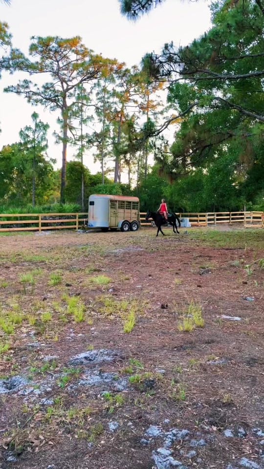 Post 10 by Mickayla Hammond on TikTok (video)